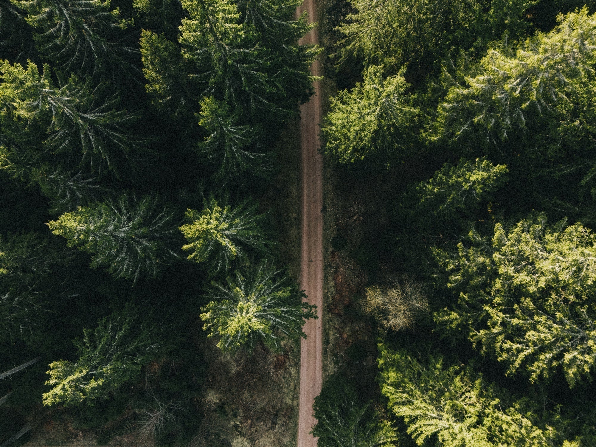 Gravel en Forêt Noire : "C'était pas prévu comme ça"