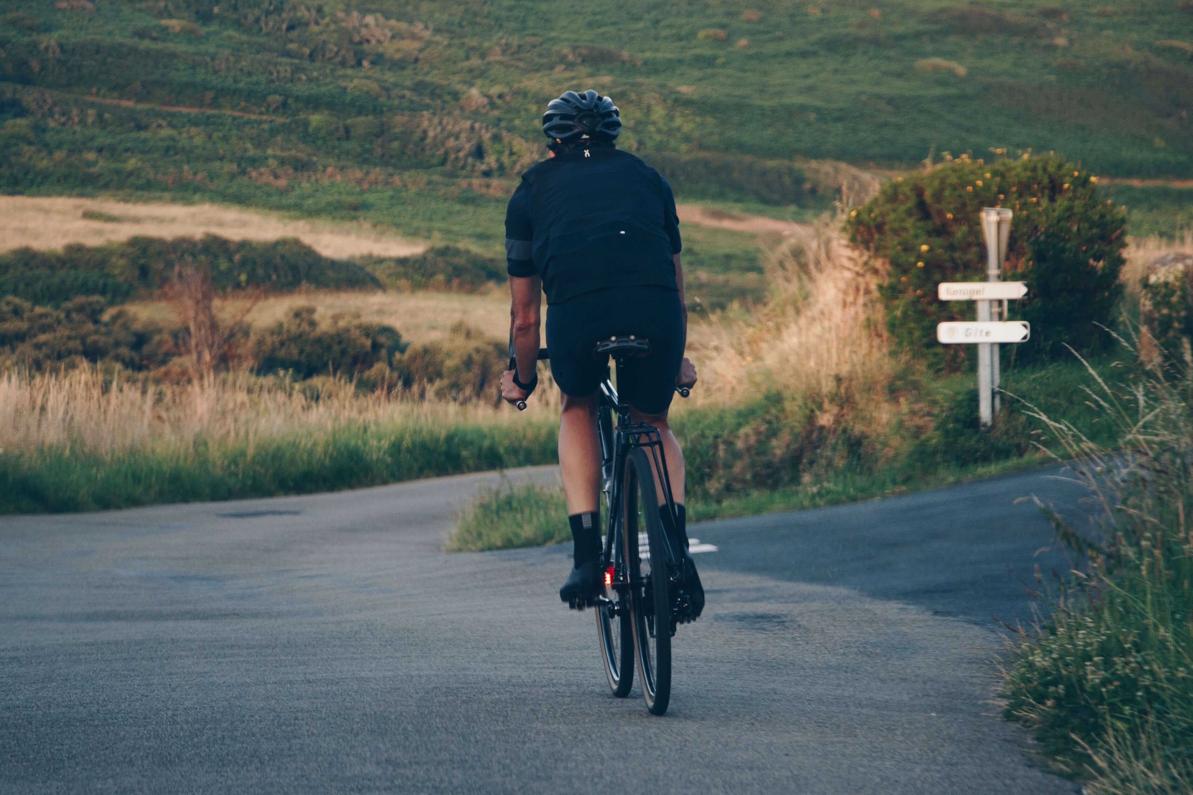 Tout savoir sur la nutrition sportive : le guide complet