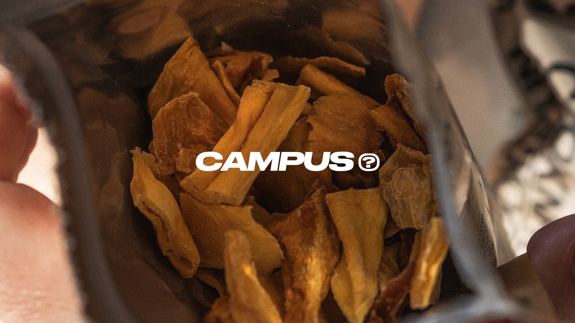 CAMPUS | Antioxydants et sport : rôle réel et bonnes pratiques