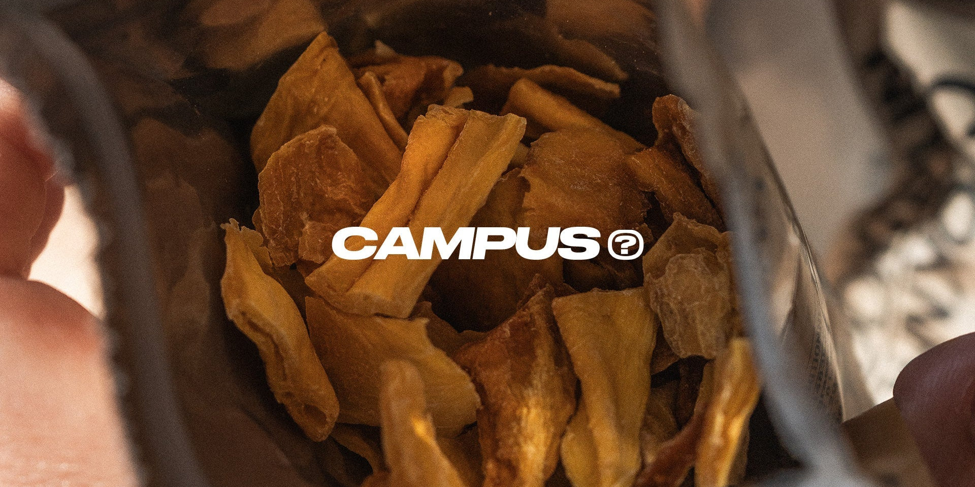 CAMPUS | Antioxydants et sport : rôle réel et bonnes pratiques