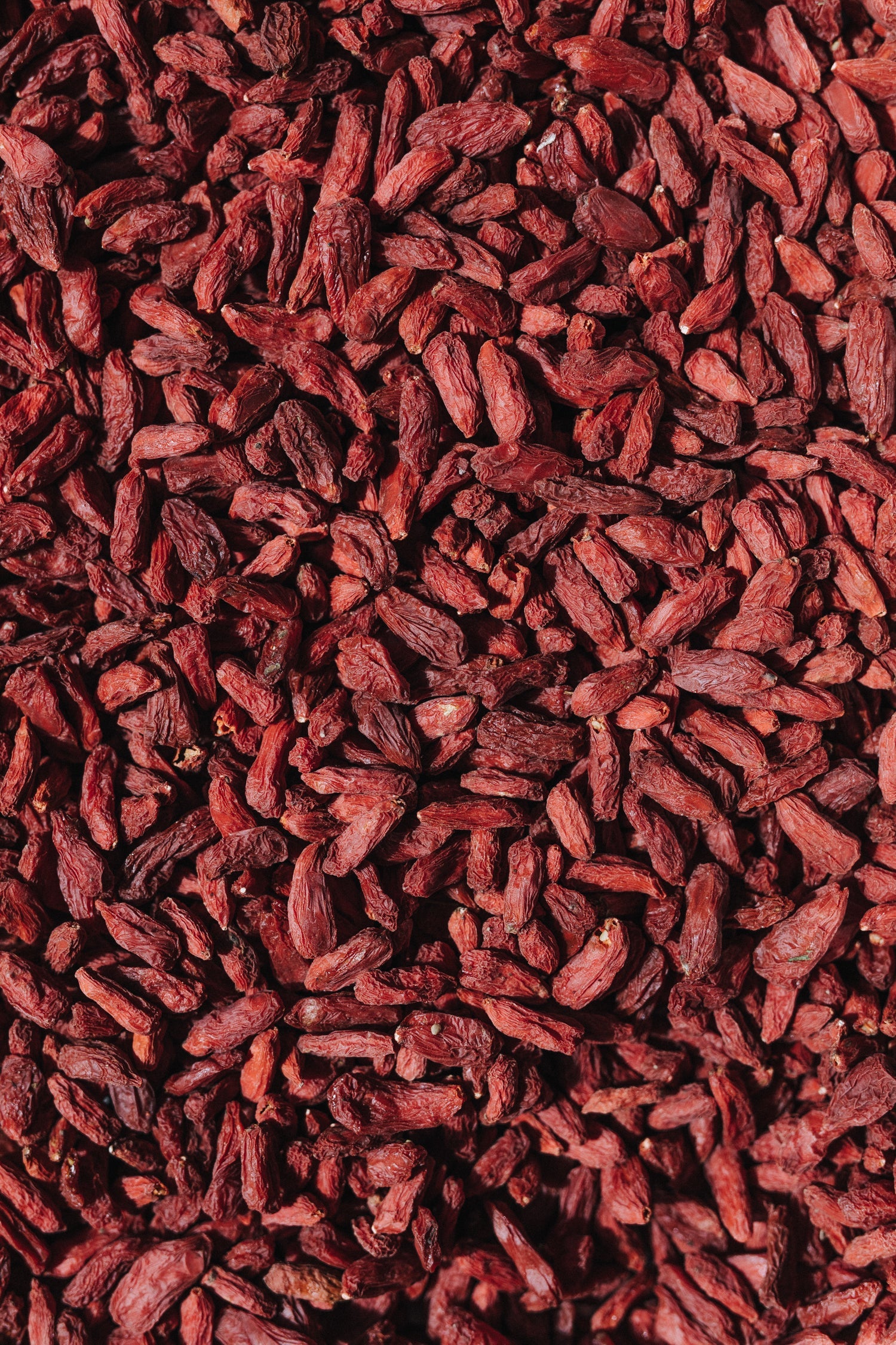 8-NUTRITION DE LA PERFORMANCE : les bases, les Micronutriments