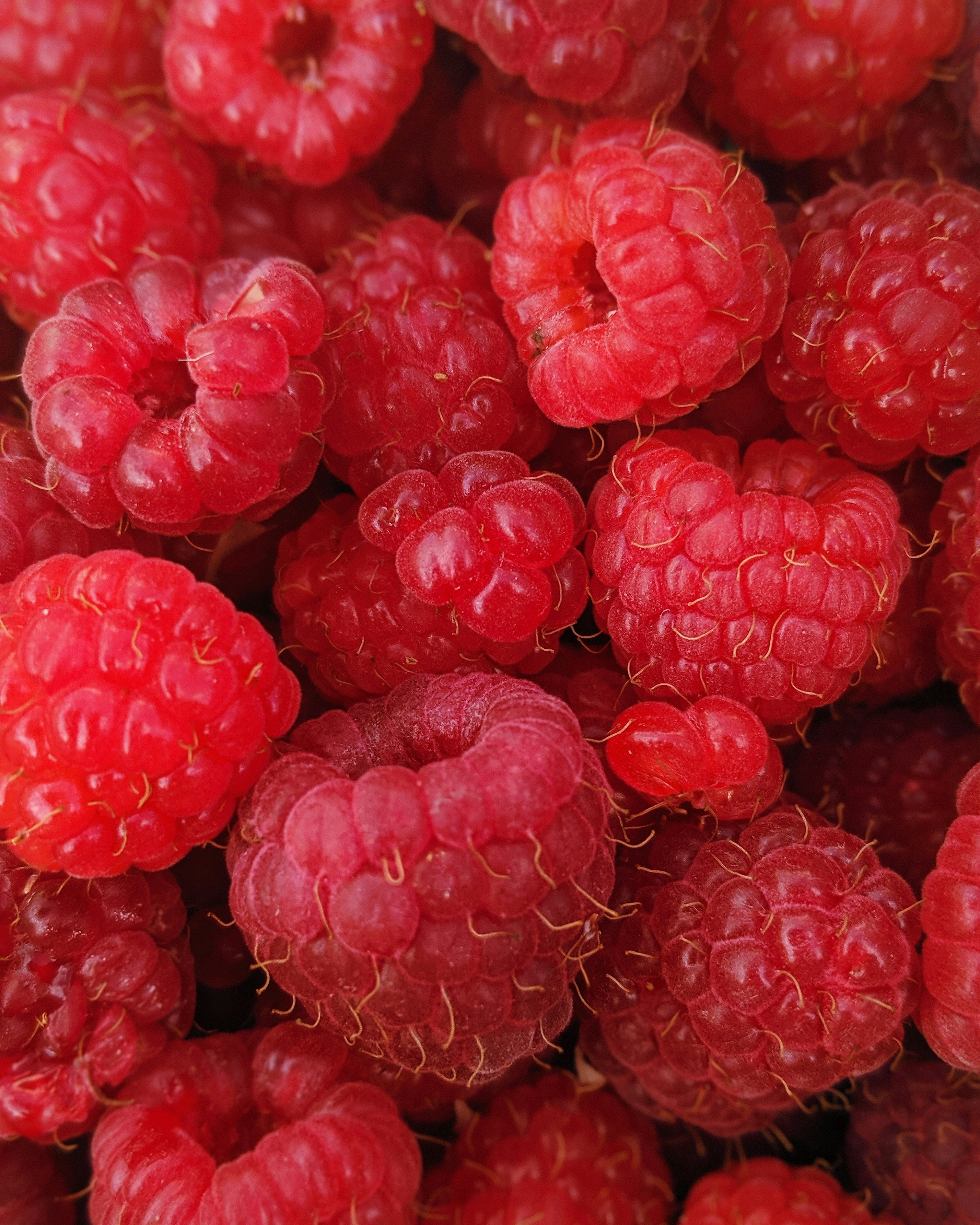 Framboises