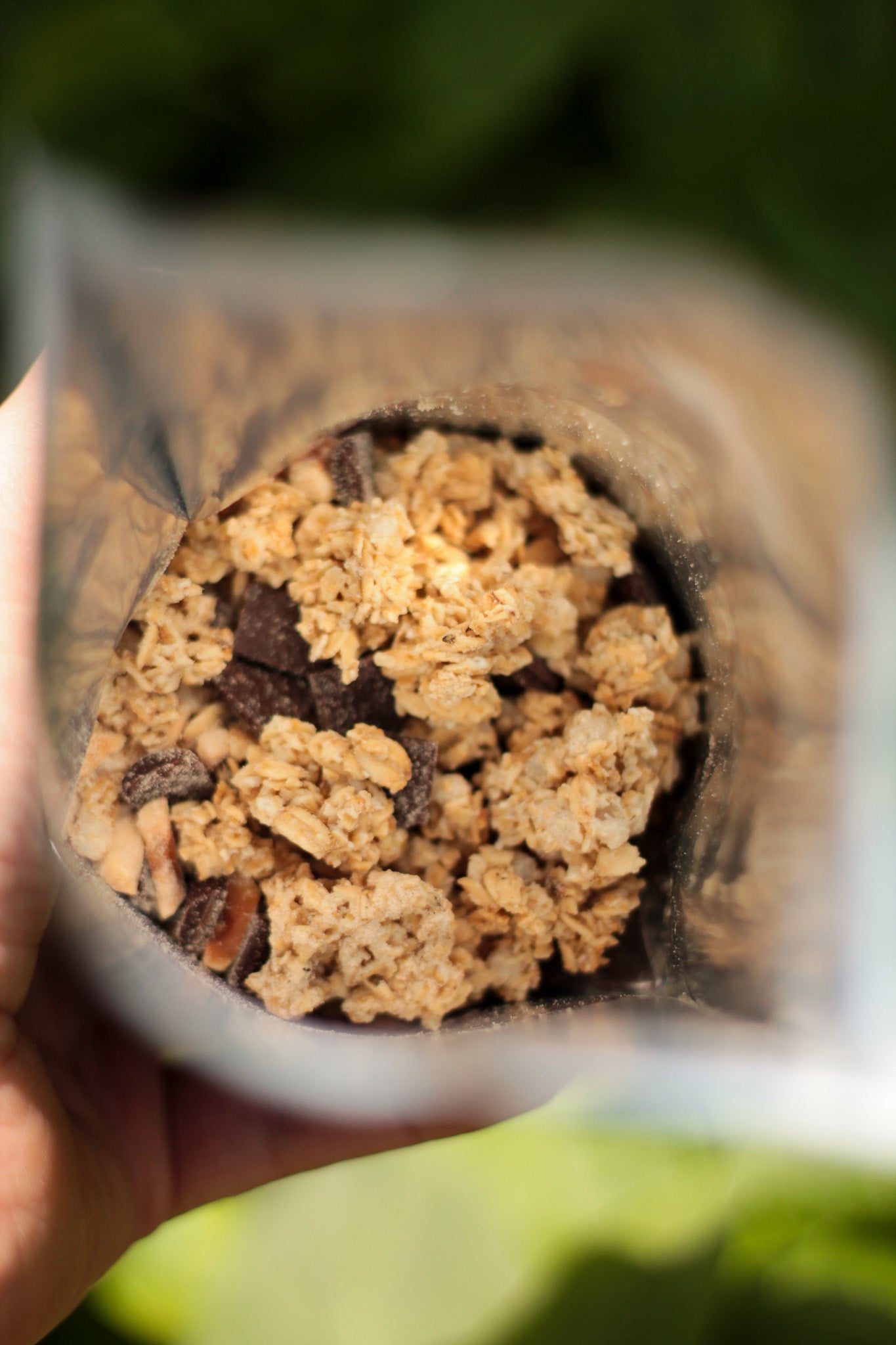 Plat déshydraté bio | Granola Noisettes Chocolat