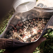 Organic Dehydrated Meal | Blueberry Strawberry Porridge