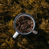 myrtilles-fraises-bio-vegan-sans glutenplat-lyophilise-bivouac-porridge-cooknrun